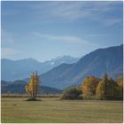 Herbst im Murnauer Moos 