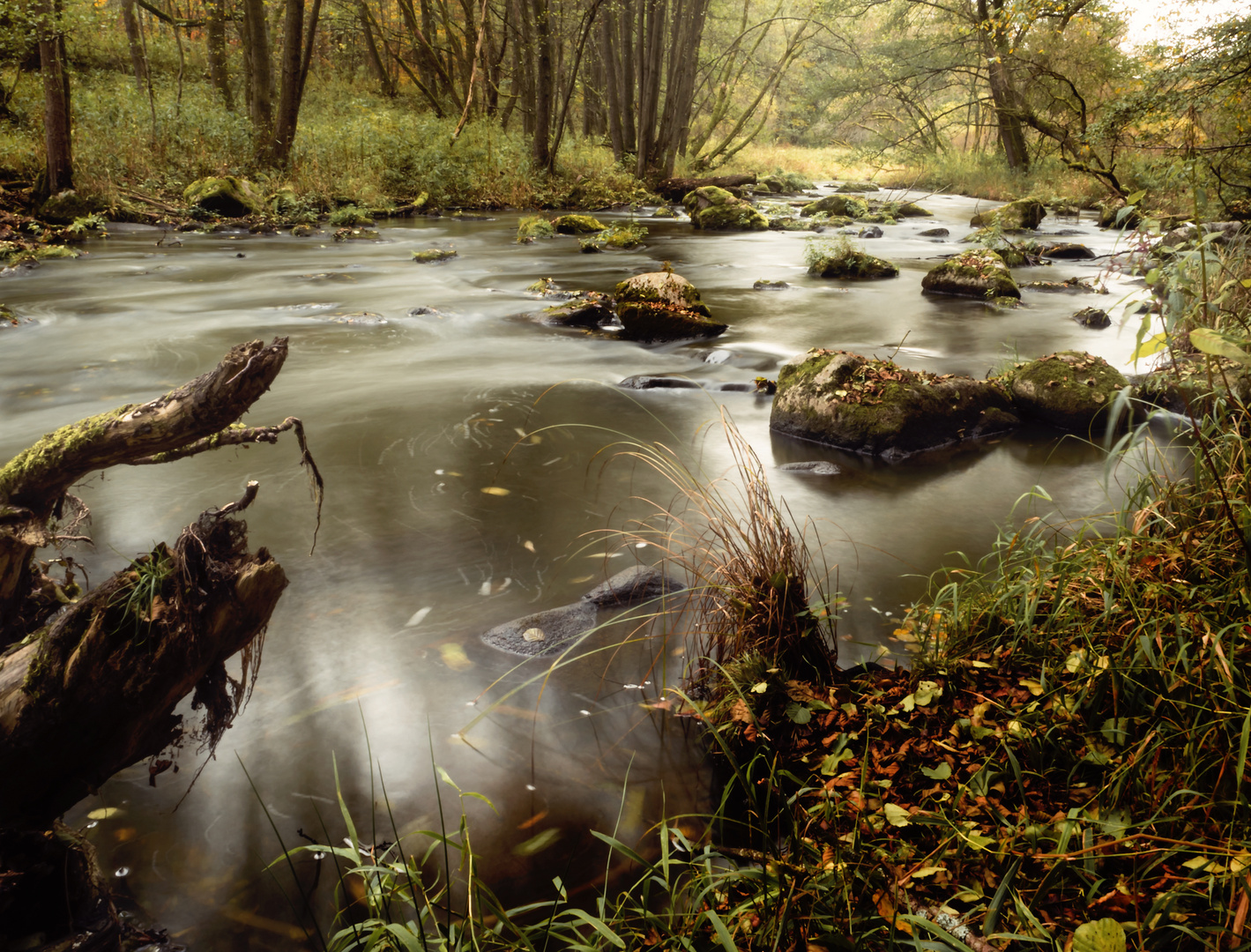 Herbst im Murntal 