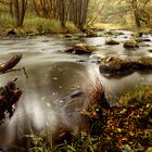 Herbst im Murntal 