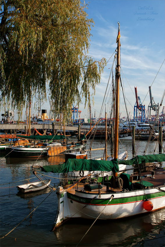 Herbst im Museumshafen (1)