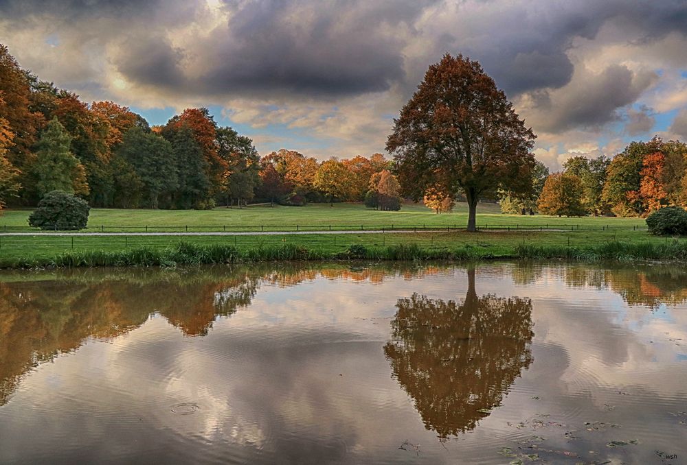 Herbst im Muskauer Park 