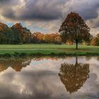 Herbst im Muskauer Park 