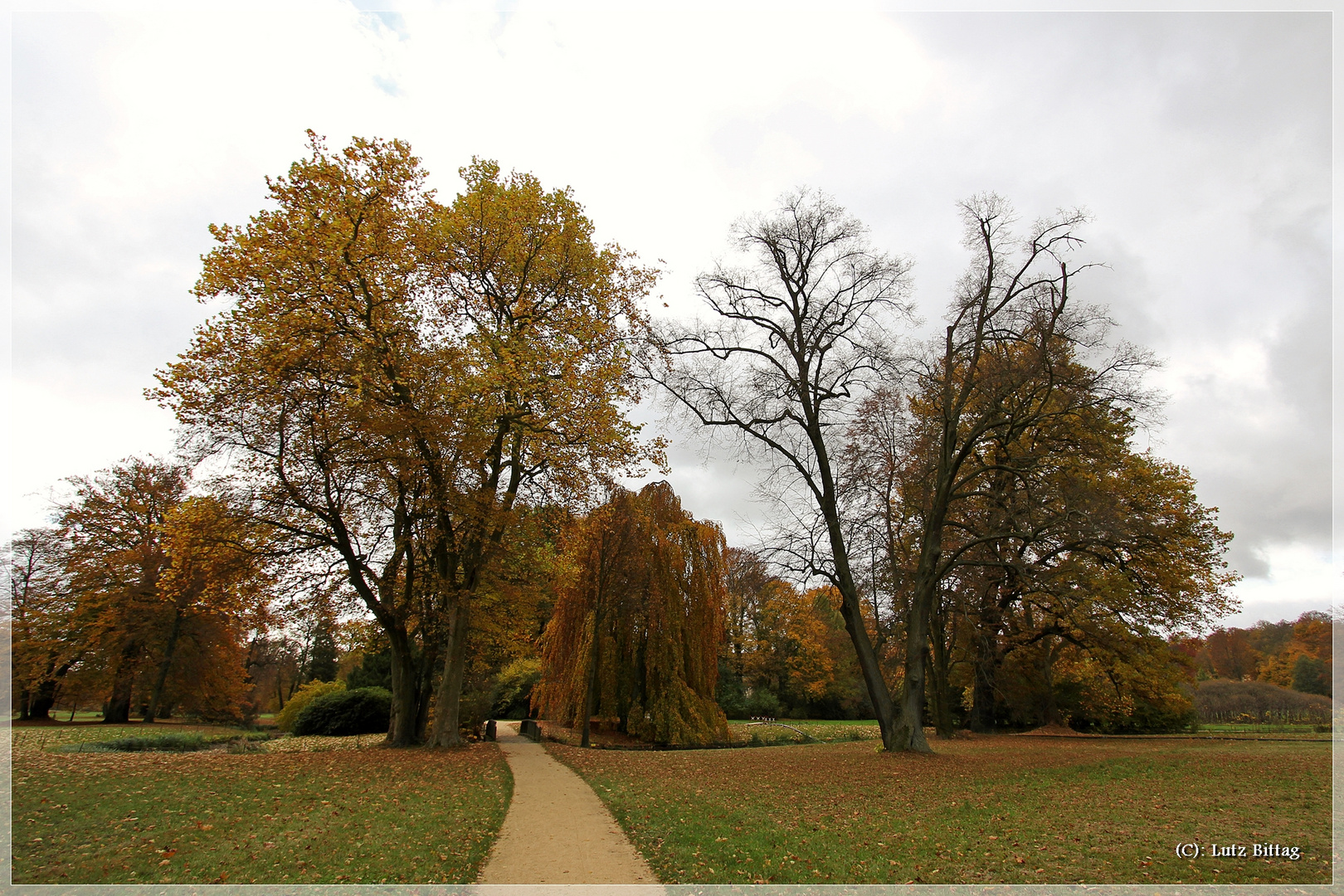 Herbst im Muskauer Park