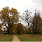 Herbst im Muskauer Park