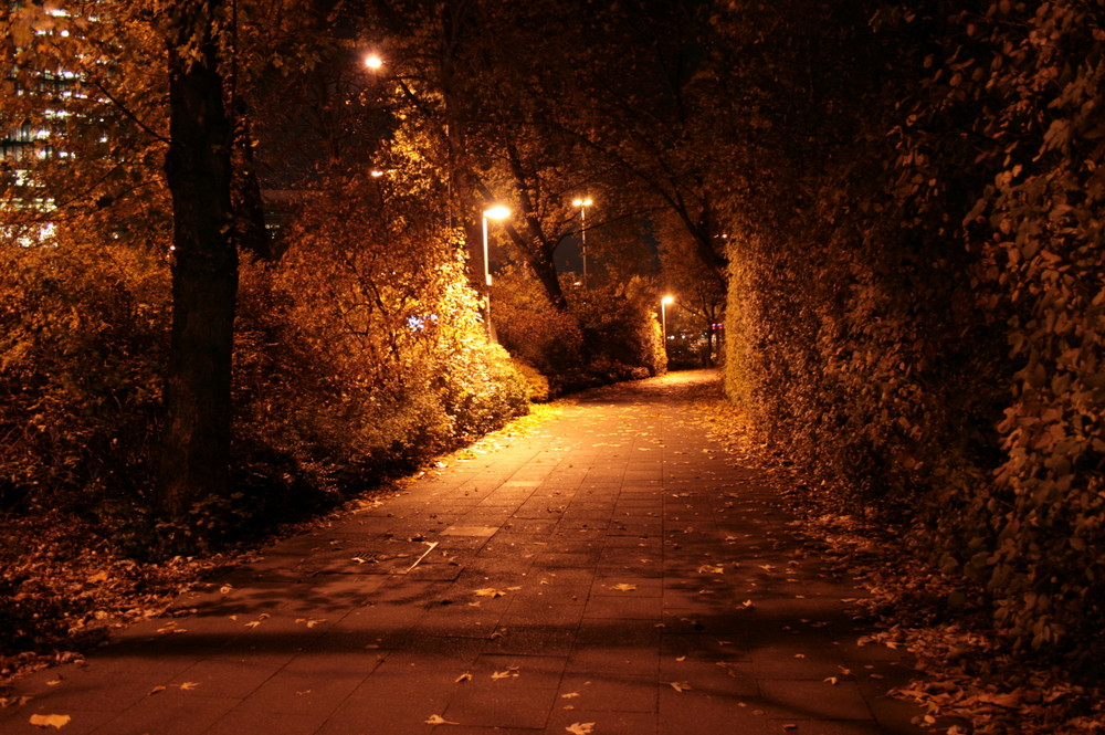 Herbst im Nacht