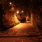 Herbst im Nacht