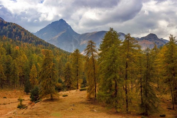 Herbst im Nationalpark