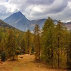 Herbst im Nationalpark