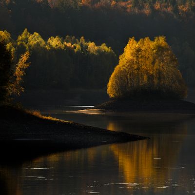 Herbst im Nationalpark Bayrischer Wald