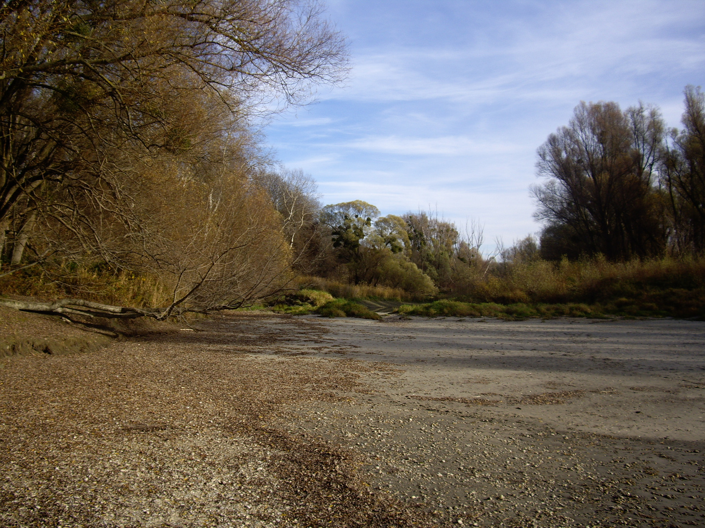 Herbst im Nationalpark - Donau  Auen