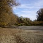 Herbst im Nationalpark - Donau  Auen