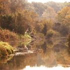 Herbst im Nationalpark Donau-Auen