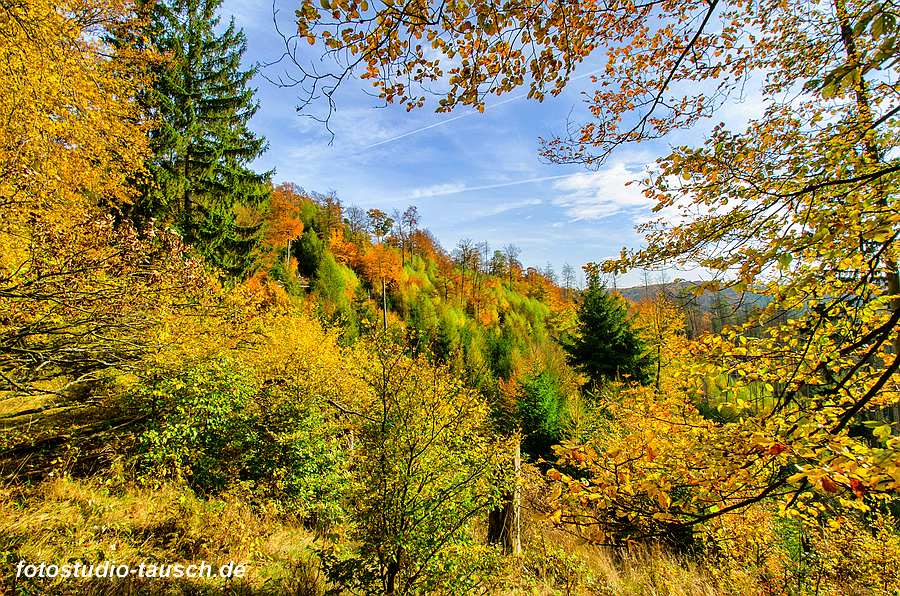 Herbst im Nationalpark Kellerwald