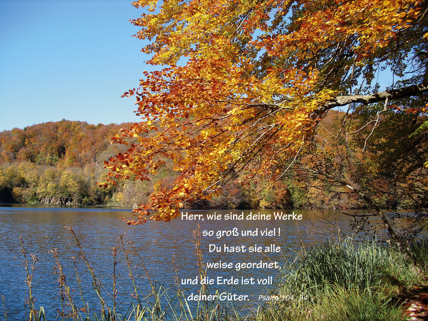 Herbst im Nationalpark Plitvice.... Psalm 104,24