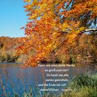 Herbst im Nationalpark Plitvice.... Psalm 104,24