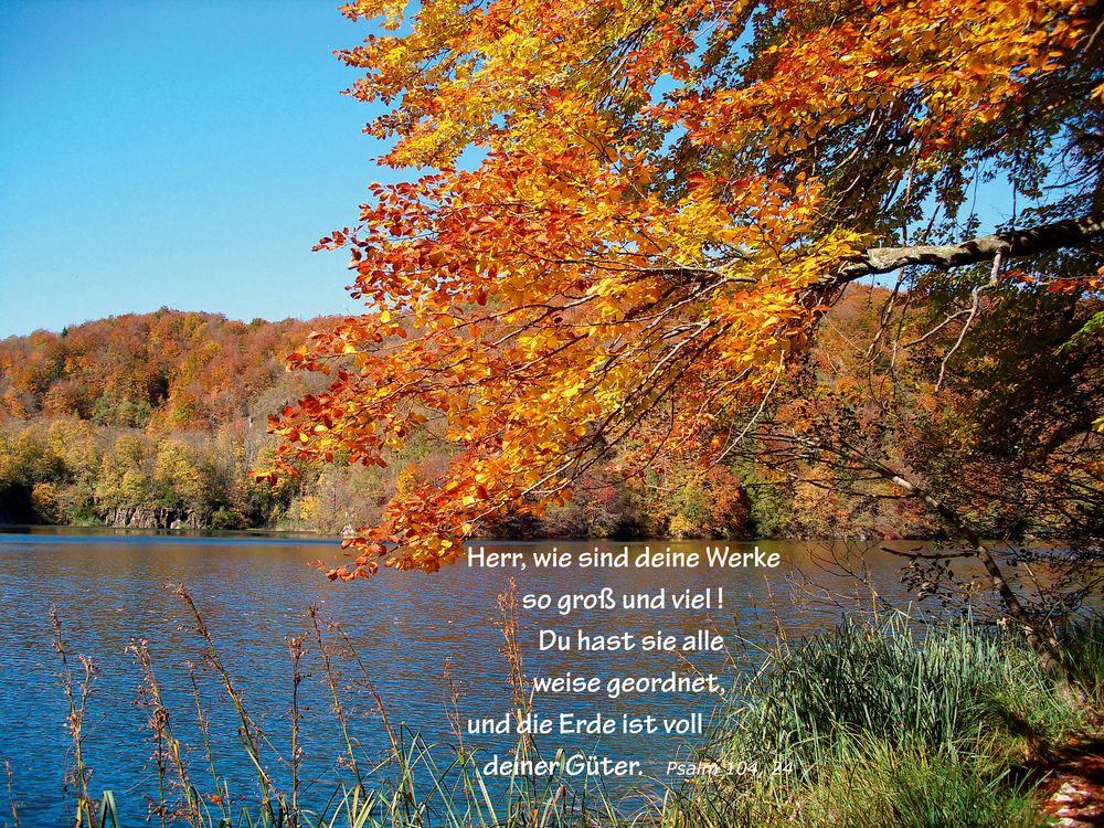 Herbst im Nationalpark Plitvice.... Psalm 104,24