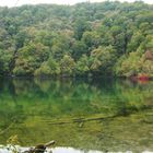 Herbst im Nationalpark Plitvicka Jezera 2