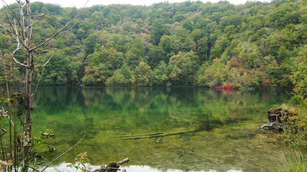 Herbst im Nationalpark Plitvicka Jezera 2 von Kerstin Roth 