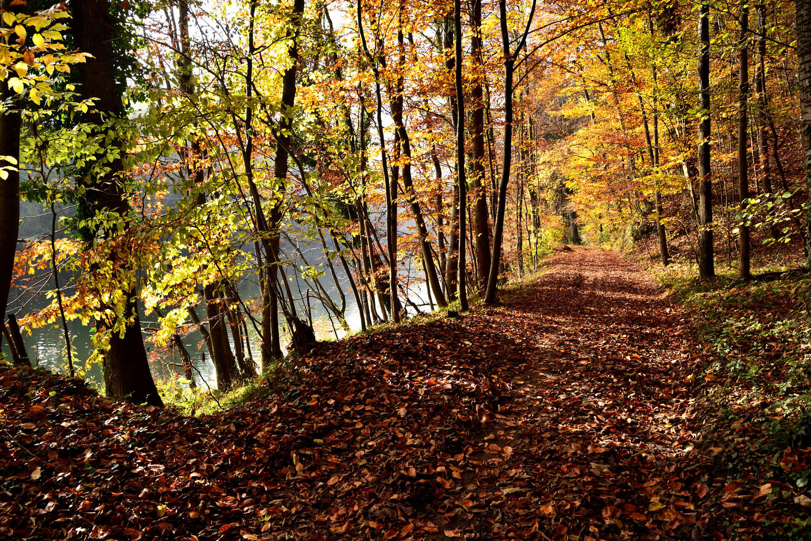 Herbst im Naturbad ...