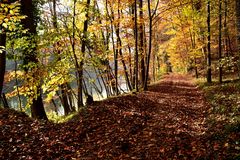 Herbst im Naturbad ...