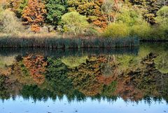 Herbst im Naturpark