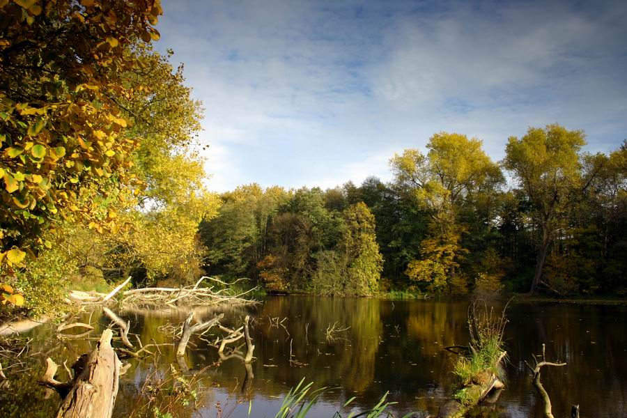 Herbst im Naturpark Barnim