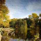 Herbst im Naturpark Barnim