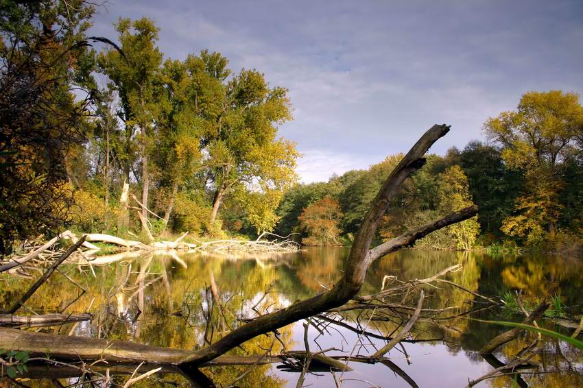 Herbst im Naturpark Barnim II