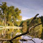 Herbst im Naturpark Barnim II