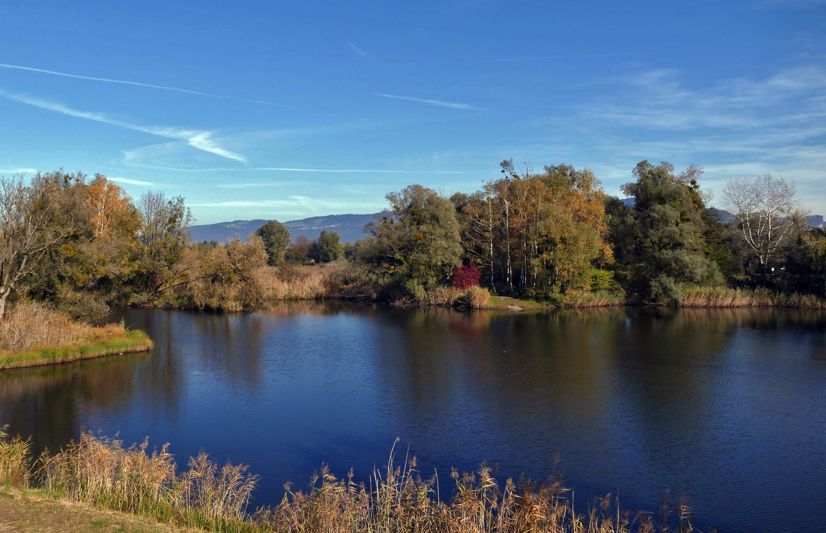 Herbst im Naturschutzgebiet