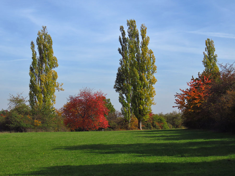 Herbst im Naturschutzgebiet