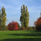 Herbst im Naturschutzgebiet