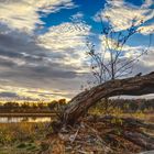 *** Herbst im Naturschutzgebiet ***