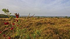 Herbst im Naturschutzgebiet