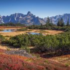 Herbst im Naturschutzgebiet Gerzkopf