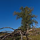 Herbst im Naturschutzgebiet Hainberg