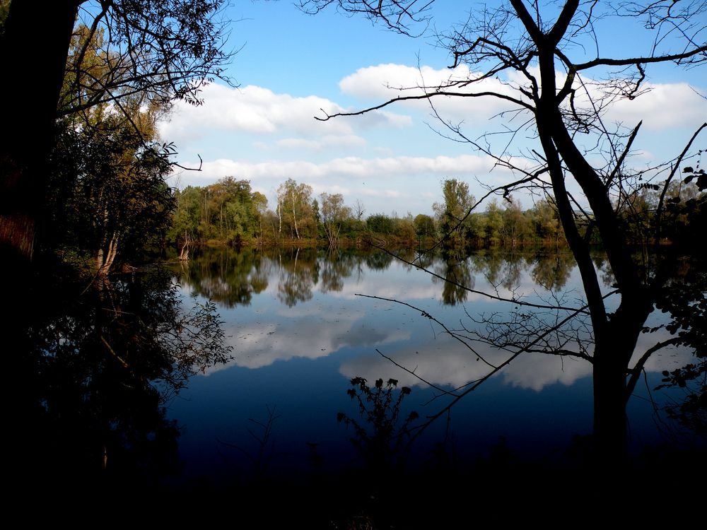 Herbst im Naturschutzgebiet " Northeimer Seenplatte "