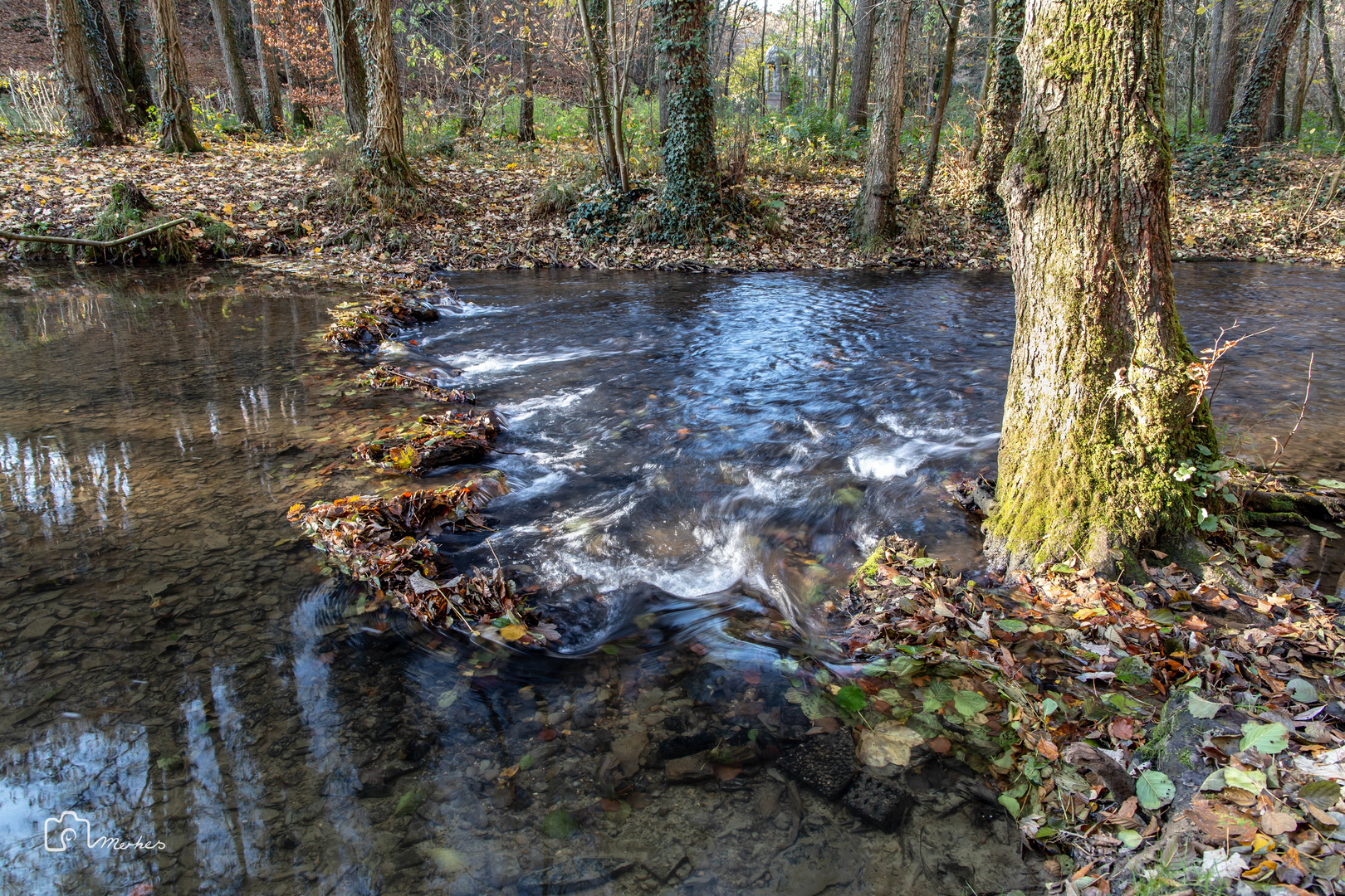 Herbst im Neandertal