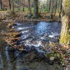 Herbst im Neandertal