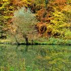 Herbst im Neandertal