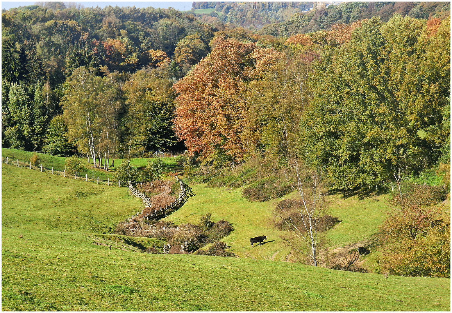 Herbst im Neandertal