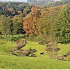 Herbst im Neandertal