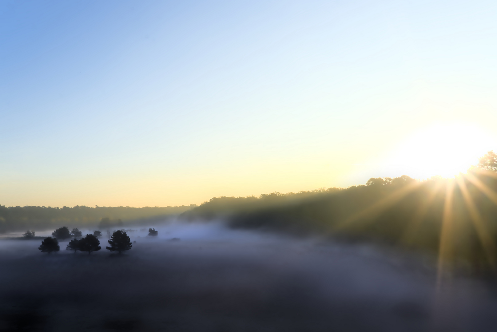 Herbst im Nebel