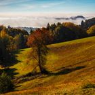 Herbst im Nebel