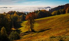 Herbst im Nebel