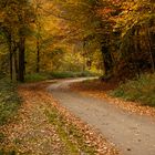 Herbst im Nerotal