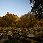 Herbst im Neusser Stadtgarten I