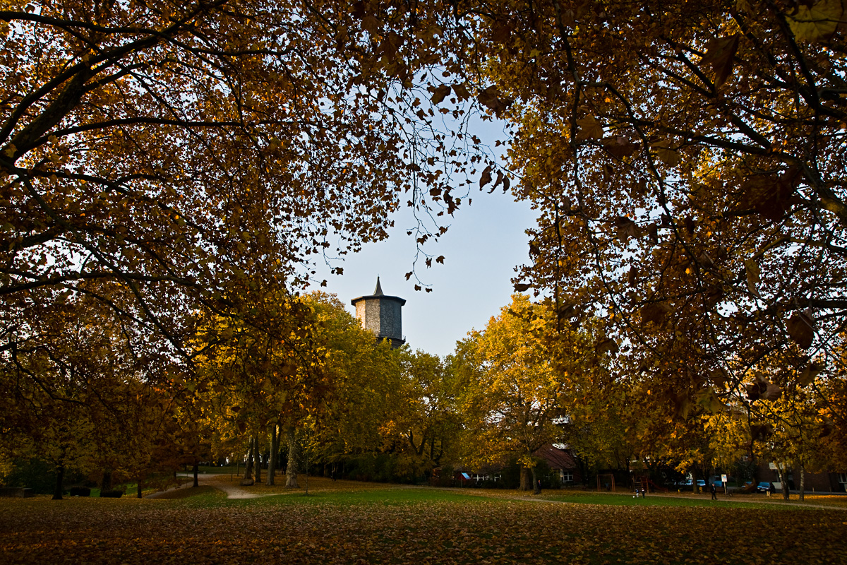 Herbst im Neusser Stadtgarten IX