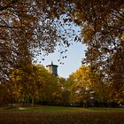 Herbst im Neusser Stadtgarten IX