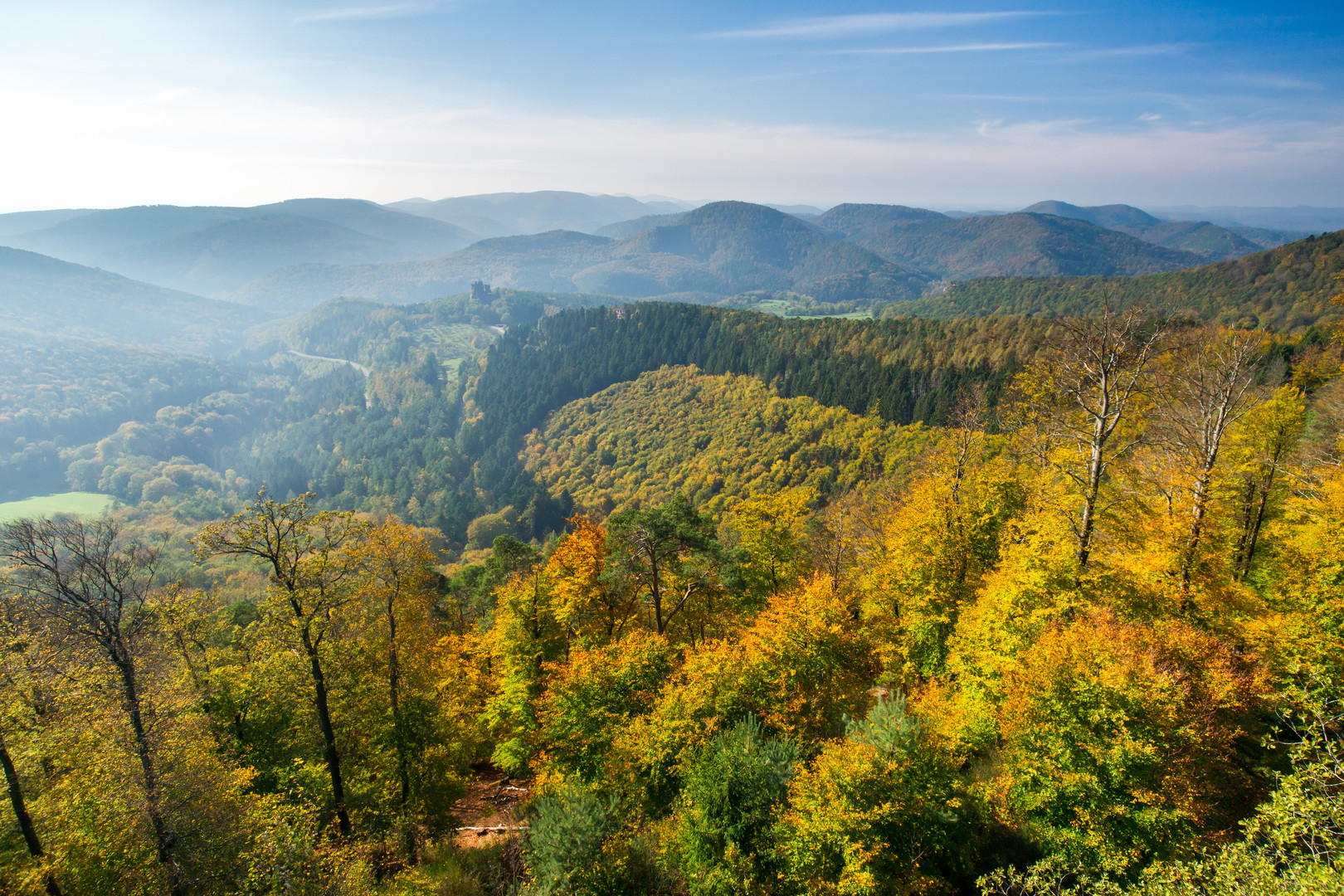 Herbst im Nordelsaß